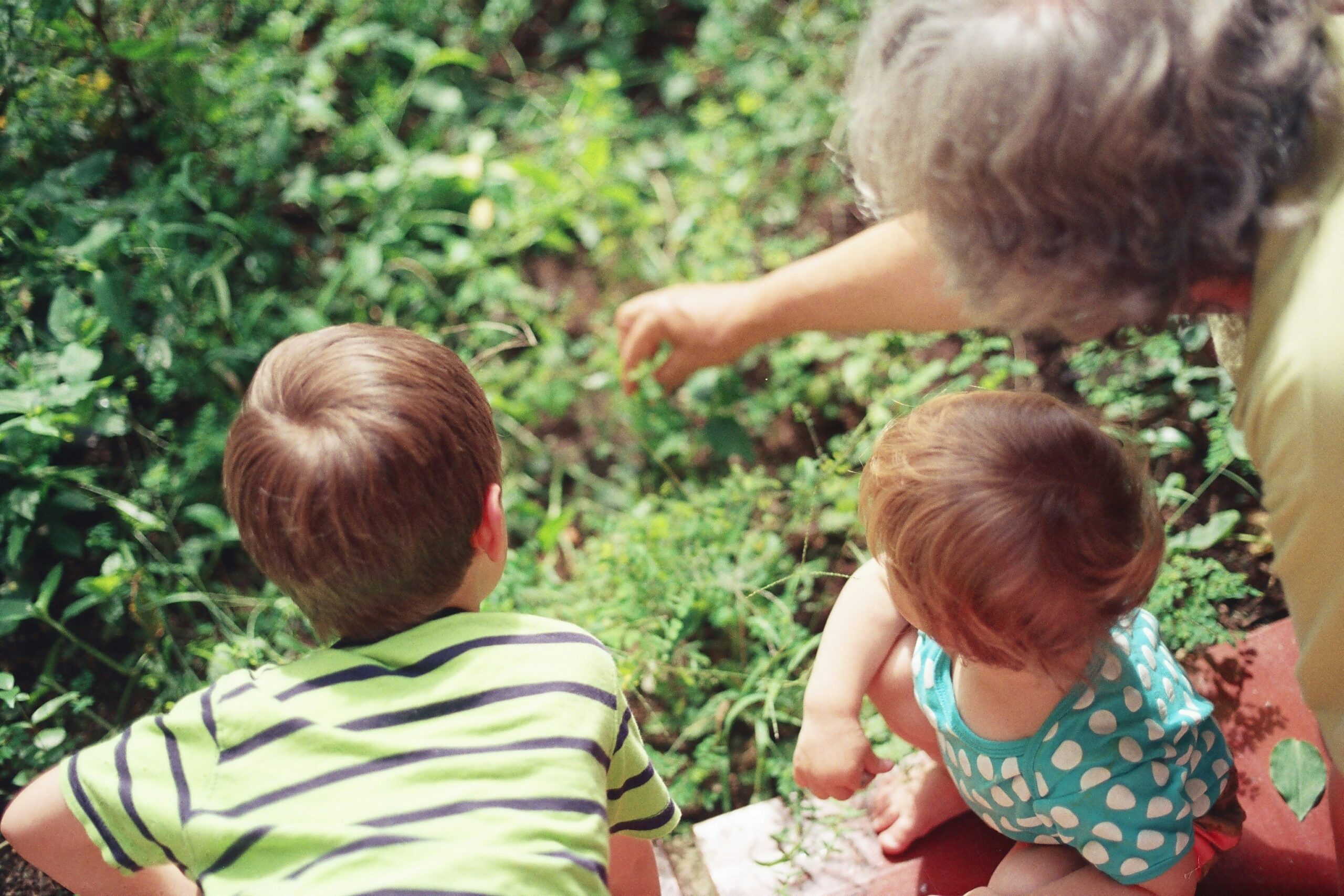 Changing the Narrative Around Family, Friend & Neighbor Care